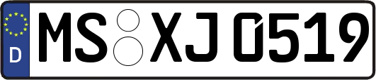 MS-XJ0519