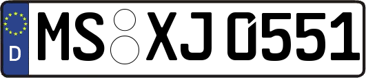 MS-XJ0551