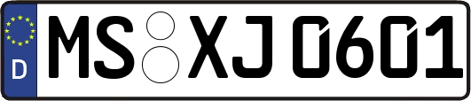 MS-XJ0601