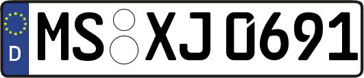 MS-XJ0691