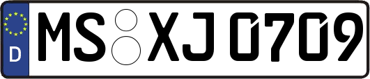 MS-XJ0709
