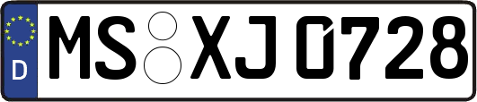 MS-XJ0728