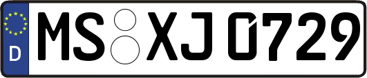 MS-XJ0729