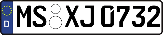 MS-XJ0732