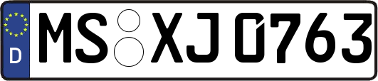 MS-XJ0763
