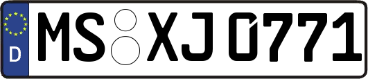 MS-XJ0771