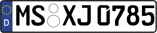 MS-XJ0785