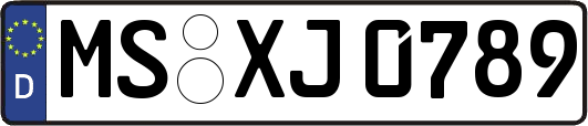 MS-XJ0789