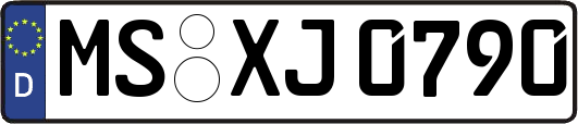 MS-XJ0790