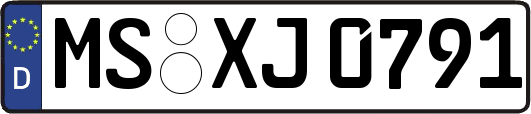 MS-XJ0791