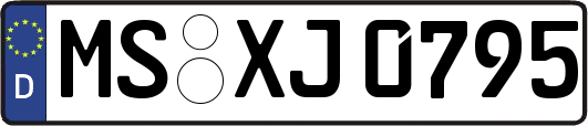 MS-XJ0795