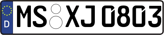 MS-XJ0803