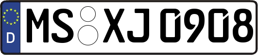 MS-XJ0908