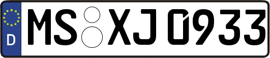 MS-XJ0933