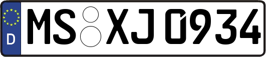 MS-XJ0934