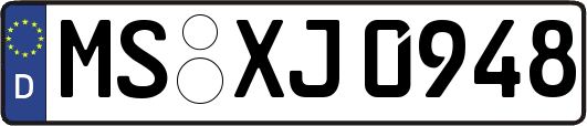 MS-XJ0948