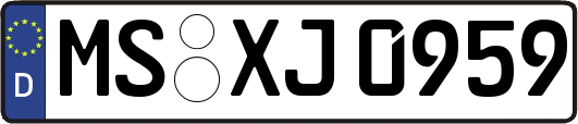 MS-XJ0959