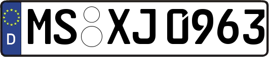 MS-XJ0963