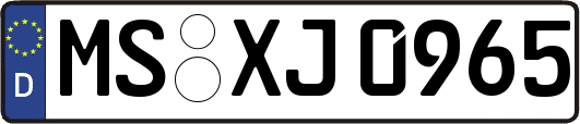 MS-XJ0965
