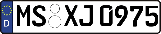 MS-XJ0975
