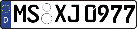MS-XJ0977