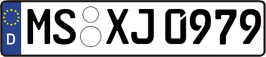 MS-XJ0979