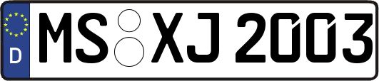 MS-XJ2003