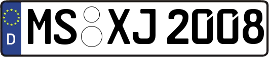 MS-XJ2008