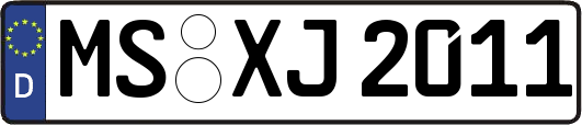 MS-XJ2011