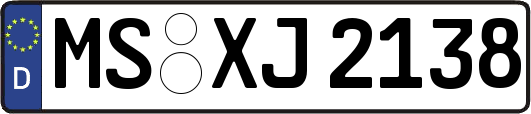 MS-XJ2138