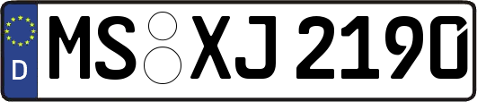 MS-XJ2190