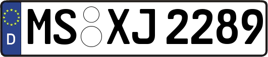 MS-XJ2289