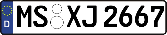 MS-XJ2667
