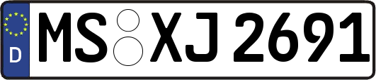 MS-XJ2691