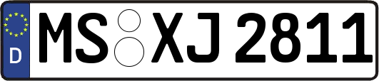 MS-XJ2811