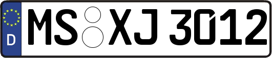 MS-XJ3012