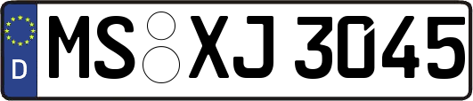 MS-XJ3045