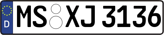 MS-XJ3136