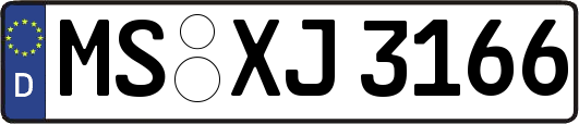 MS-XJ3166