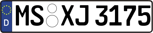 MS-XJ3175