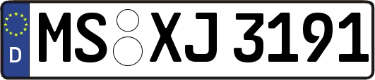 MS-XJ3191