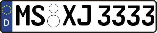 MS-XJ3333