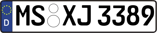 MS-XJ3389