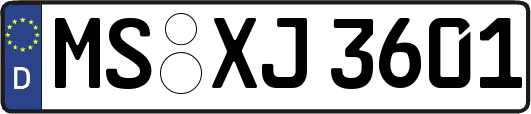 MS-XJ3601