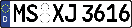 MS-XJ3616