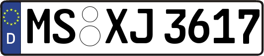MS-XJ3617