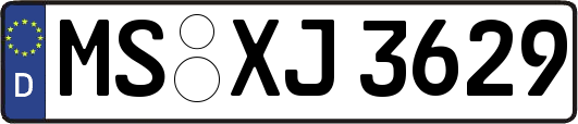 MS-XJ3629