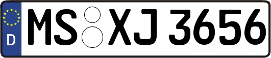 MS-XJ3656