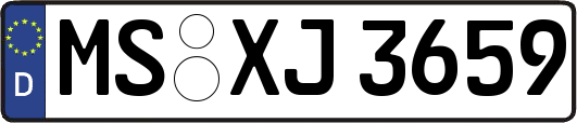 MS-XJ3659