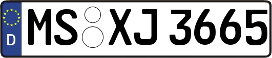 MS-XJ3665